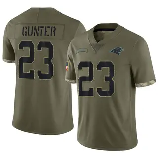 Carolina Panthers Men's LaDarius Gunter Limited Ladarius Gunter 2022 Salute To Service Jersey - Olive
